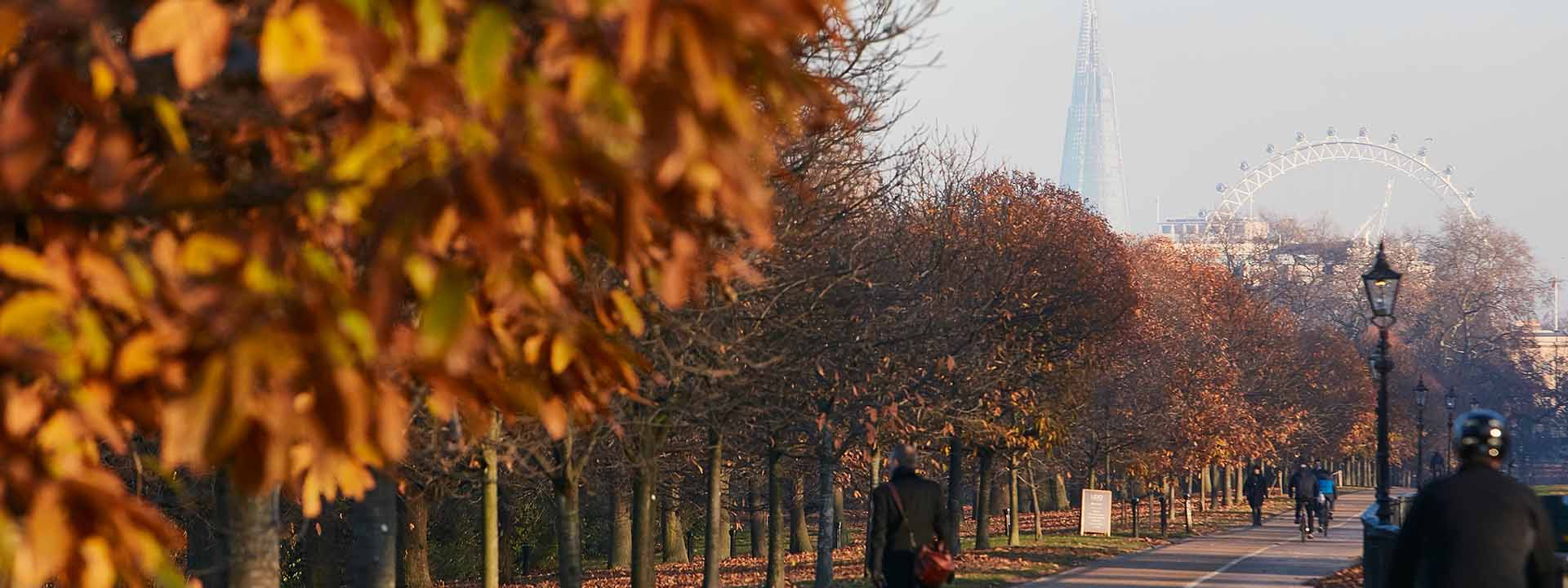 Pedestrians in Hyde Park